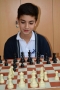 Chess (14)