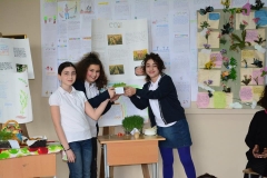 culture-9