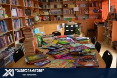erovnuli-biblioteka-3