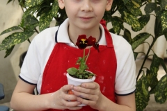 gardenia-15